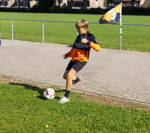 Automatische concepten 8
